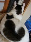Filename=2fe0cf0d6b3.jpg
Filesize=62KB
Dimensions=600x811
Date added=Aug 11, 2011 2fe0cf0d6b3.jpg