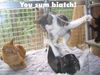 Filename=sumbiatch.jpg
Filesize=88KB
Dimensions=512x384
Date added=Jul 18, 2010 sumbiatch.jpg