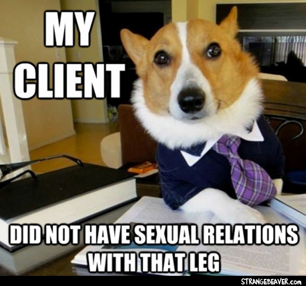 lawyer dog meme