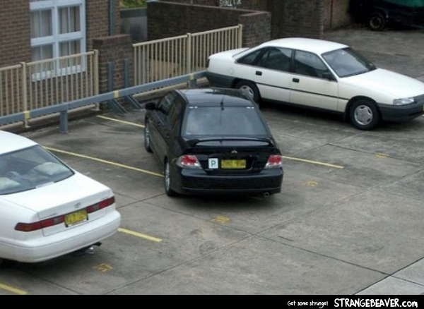 bad parking pictures