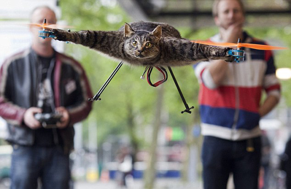 dead cat turned into helicopter