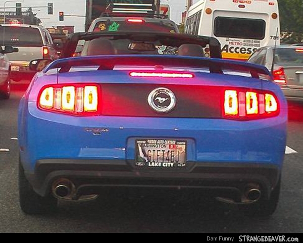 funny license plates