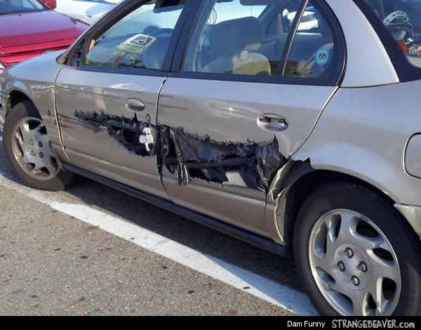 funny pictures from parking lot