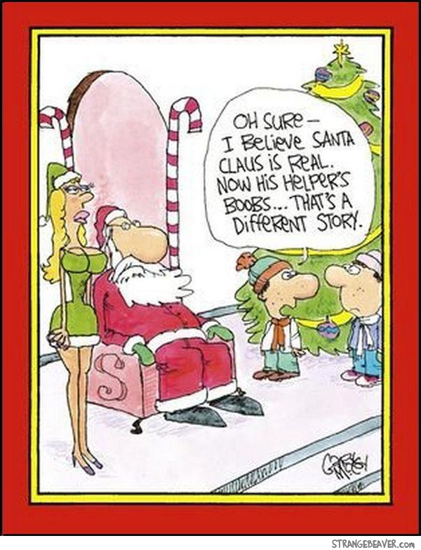 funny christmas pictures