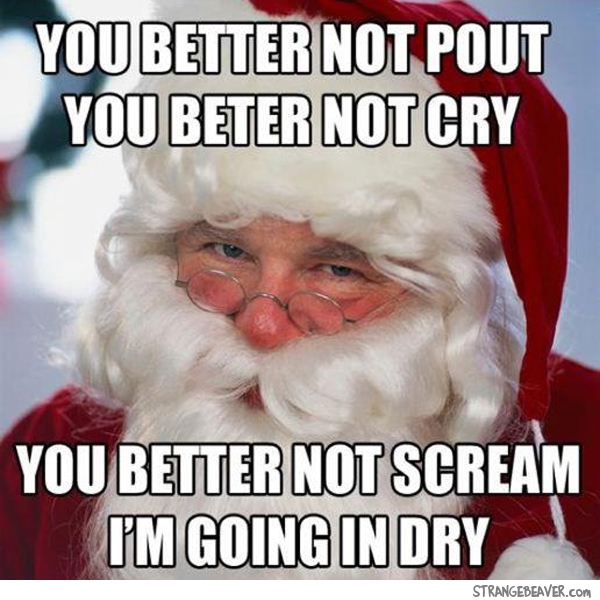 funny christmas pictures