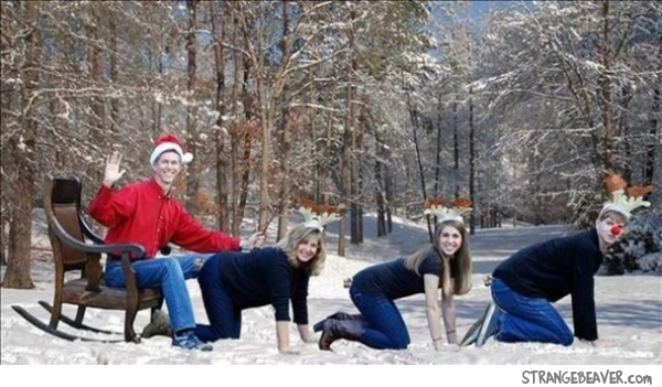 funny family christmas pictures