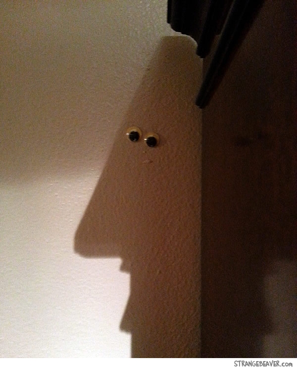funny googly eyes picture