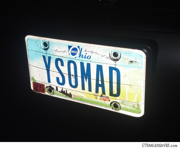 funny license plate