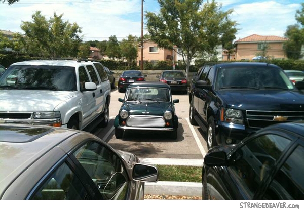 funny parking lot pictures