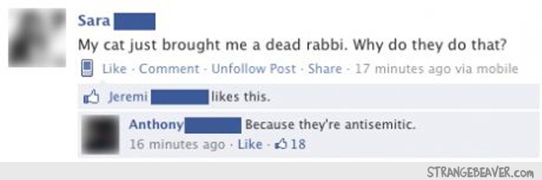 funny facebook fails
