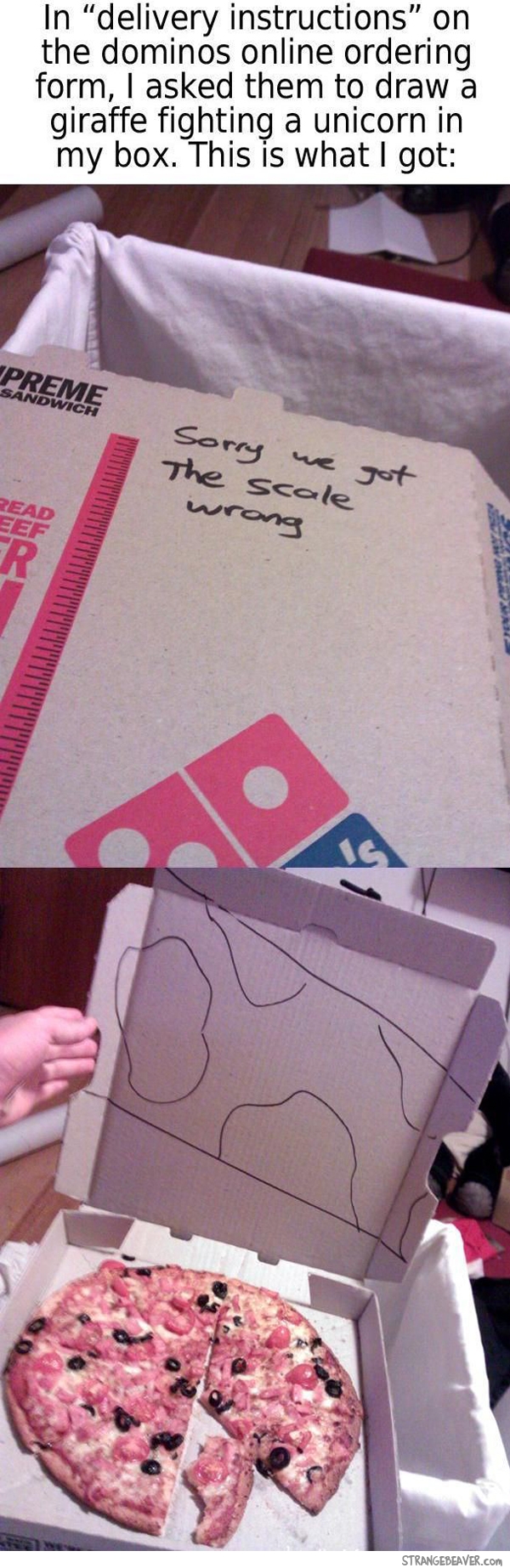 funny pizza box