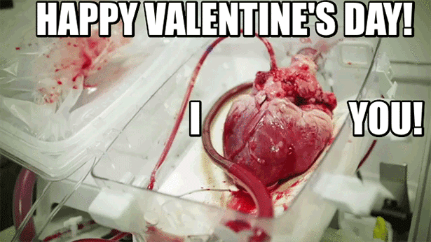 funny valentine's day picture