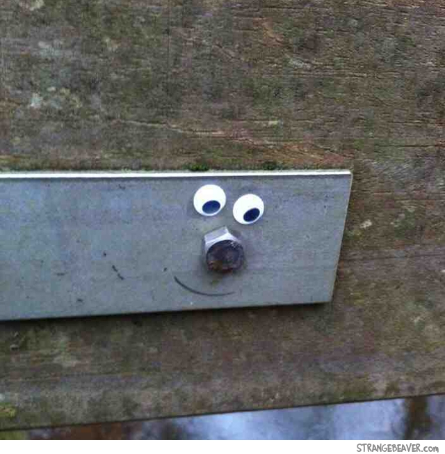 Fun with googly eyes