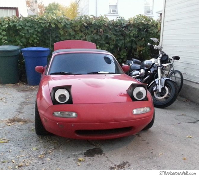 Fun with googly eyes