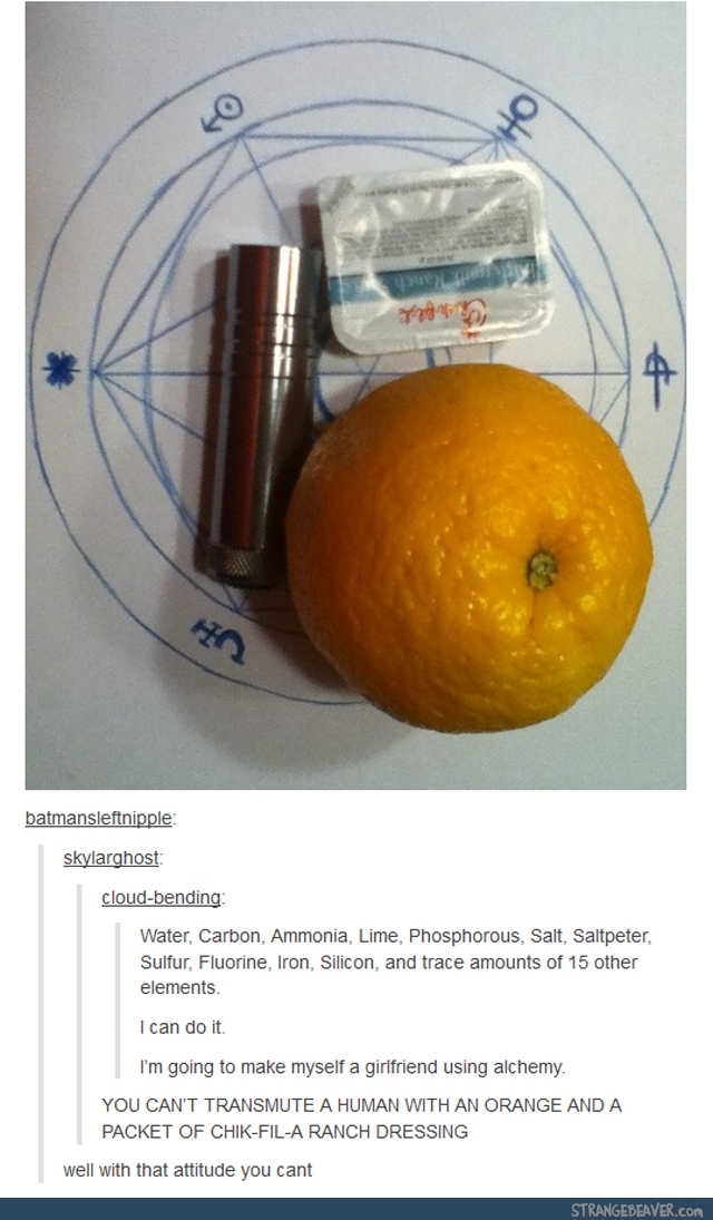 Funny tumblr comments