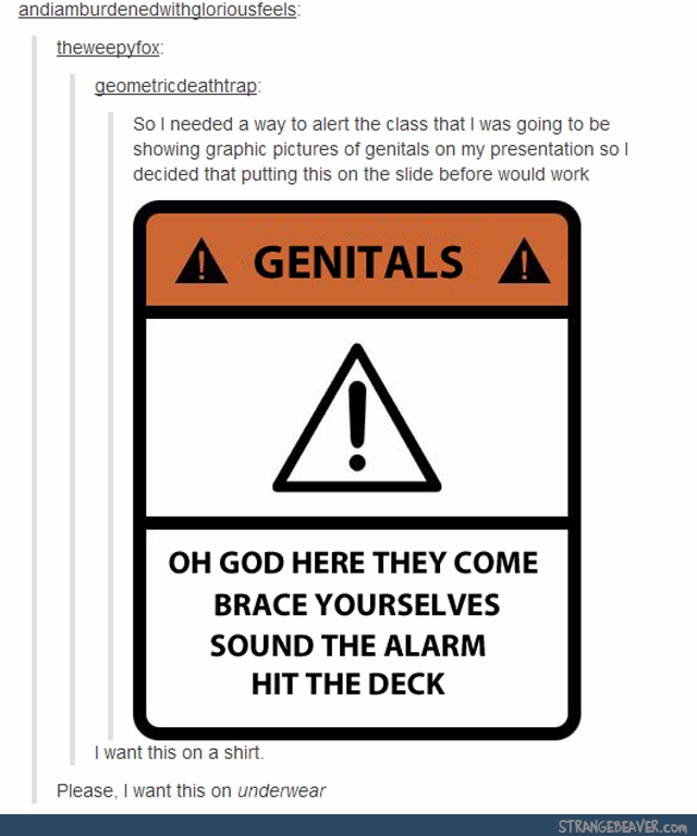 Funny tumblr comments