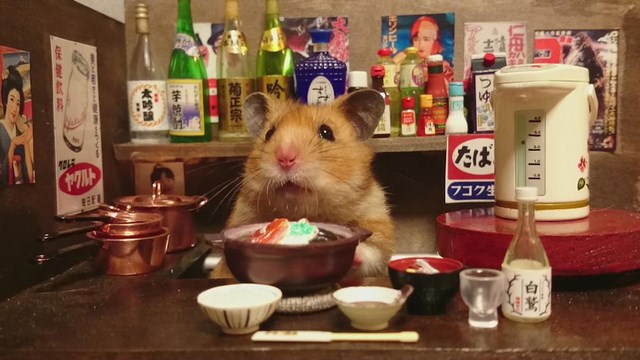 cute tiny hamster bartender