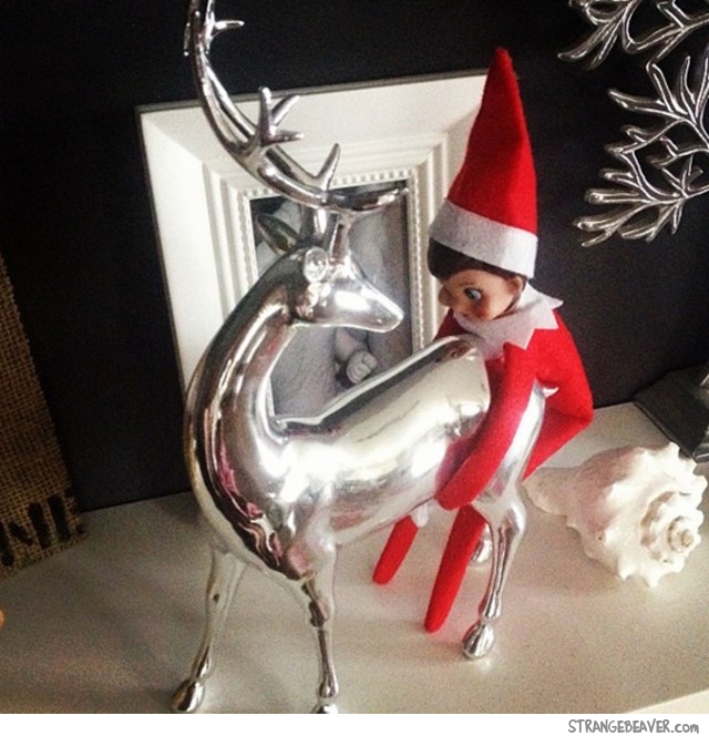 funny Elf On The Shelf
