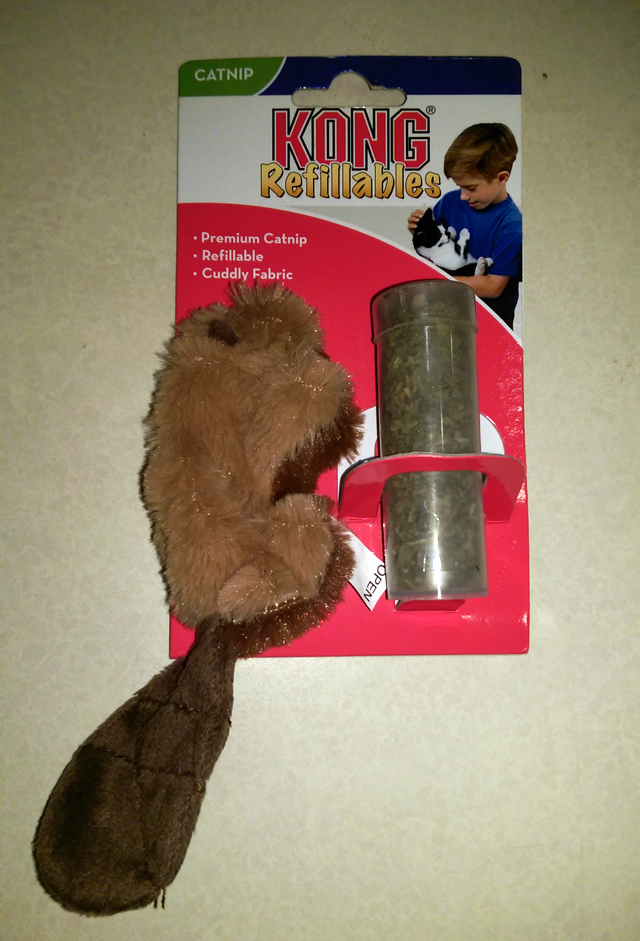 Kong Beaver catnip toy