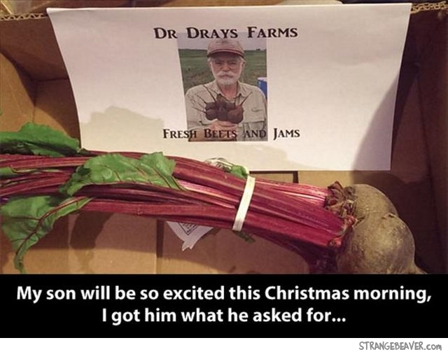 Funny Christmas Picture