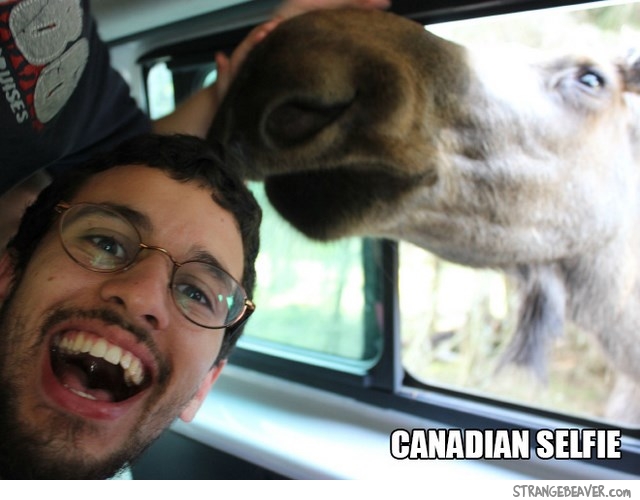 Funny things about Canadians