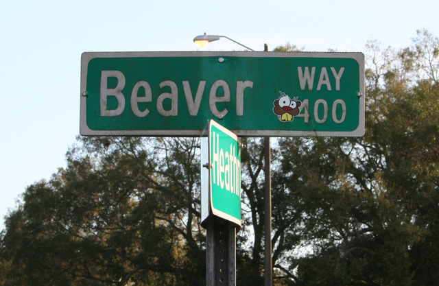 Show Us Your Beaver Contest - December 2014 winner
