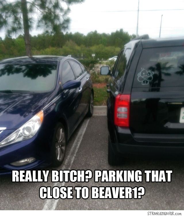 Funny parking fails