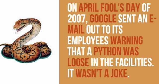 Interesting Facts About Google You May Not Have Known