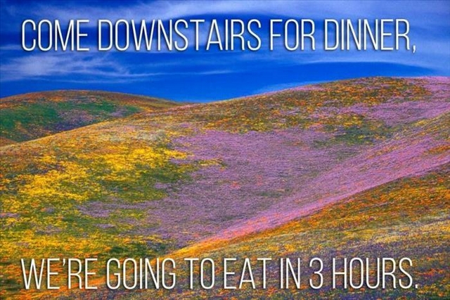 Mom Quotes As Motivational Posters