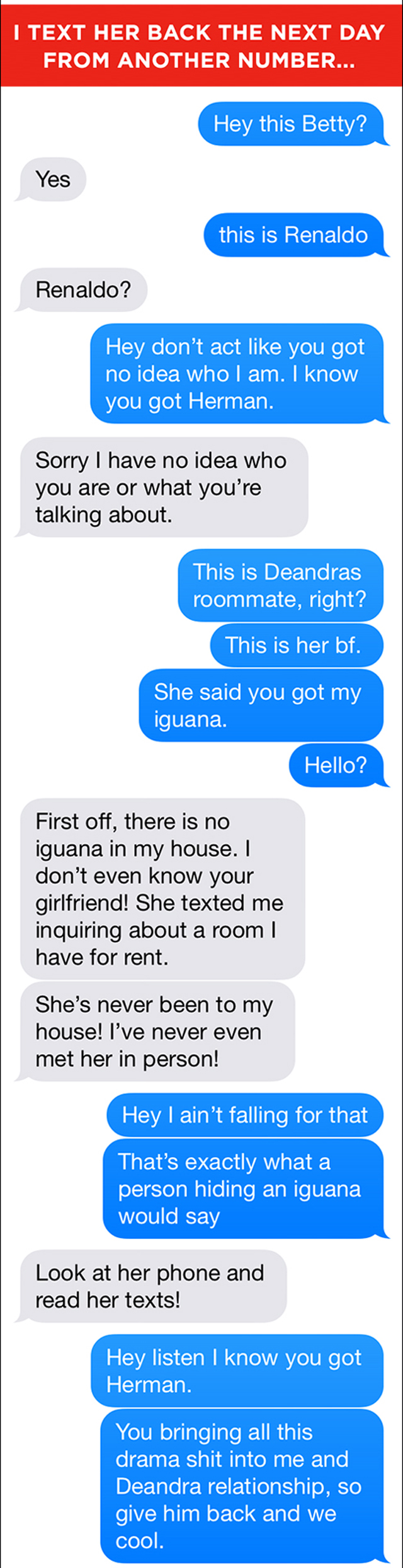 Text Trolling The Roommate Ad- The Tale Of The Iguana