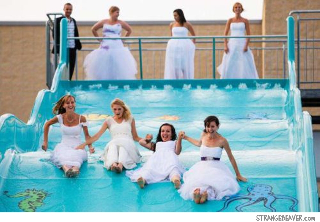 Funny Scenes From A Wedding