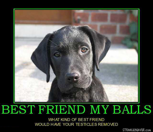 Motivational Monday 5-9 – Strange Beaver