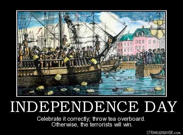 Funny Independence Day Motivational Poster